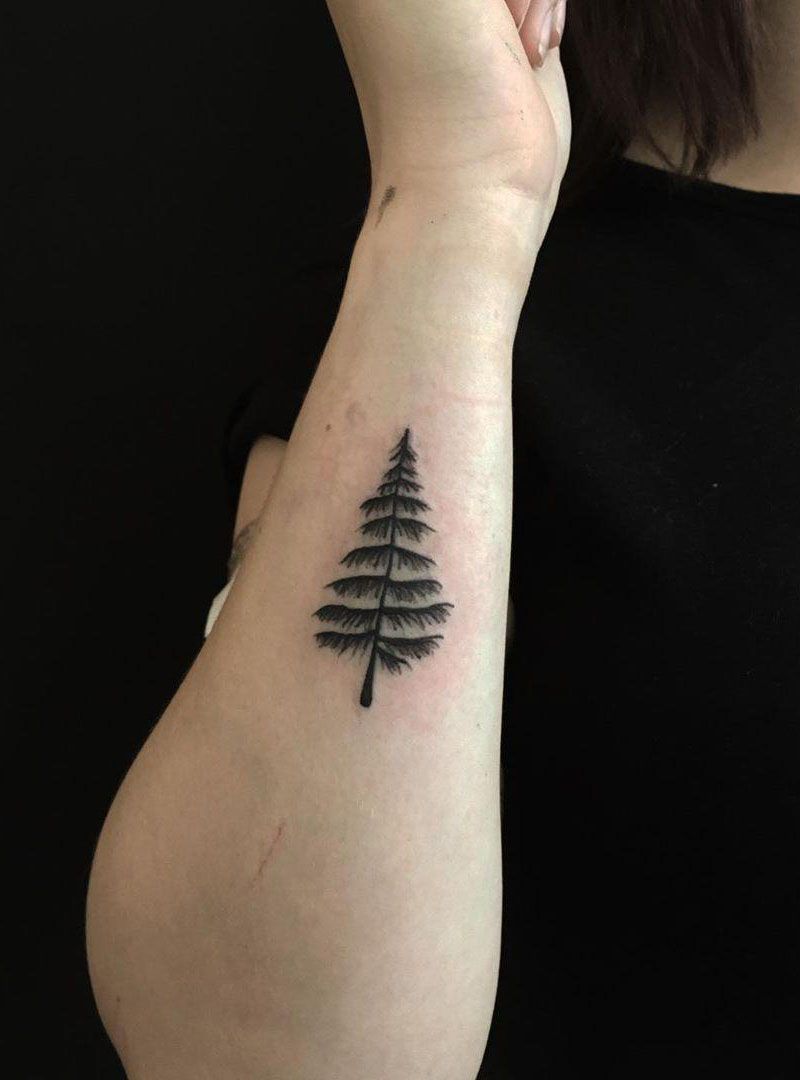 30 Pretty Fir Tree Tattoos You Will Love