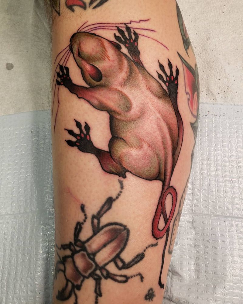 30 Pretty Rat Tattoos You Will Love