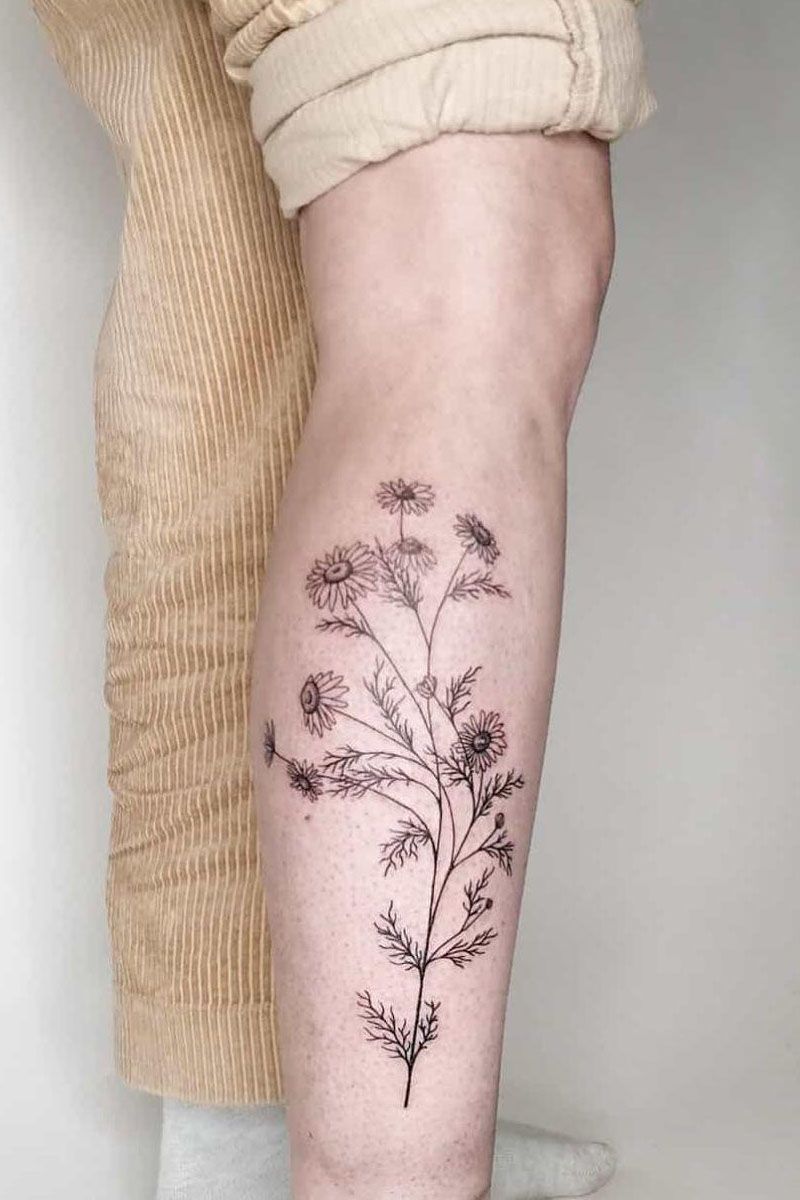 30 Pretty Chamomile Tattoos You Shouldn't Miss