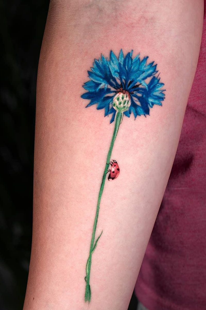 30 Pretty Cornflower Tattoos to Inspire You