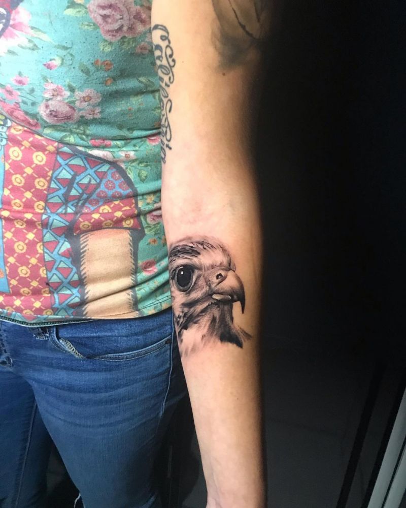 30 Pretty Falcon Tattoos Make You Elegant