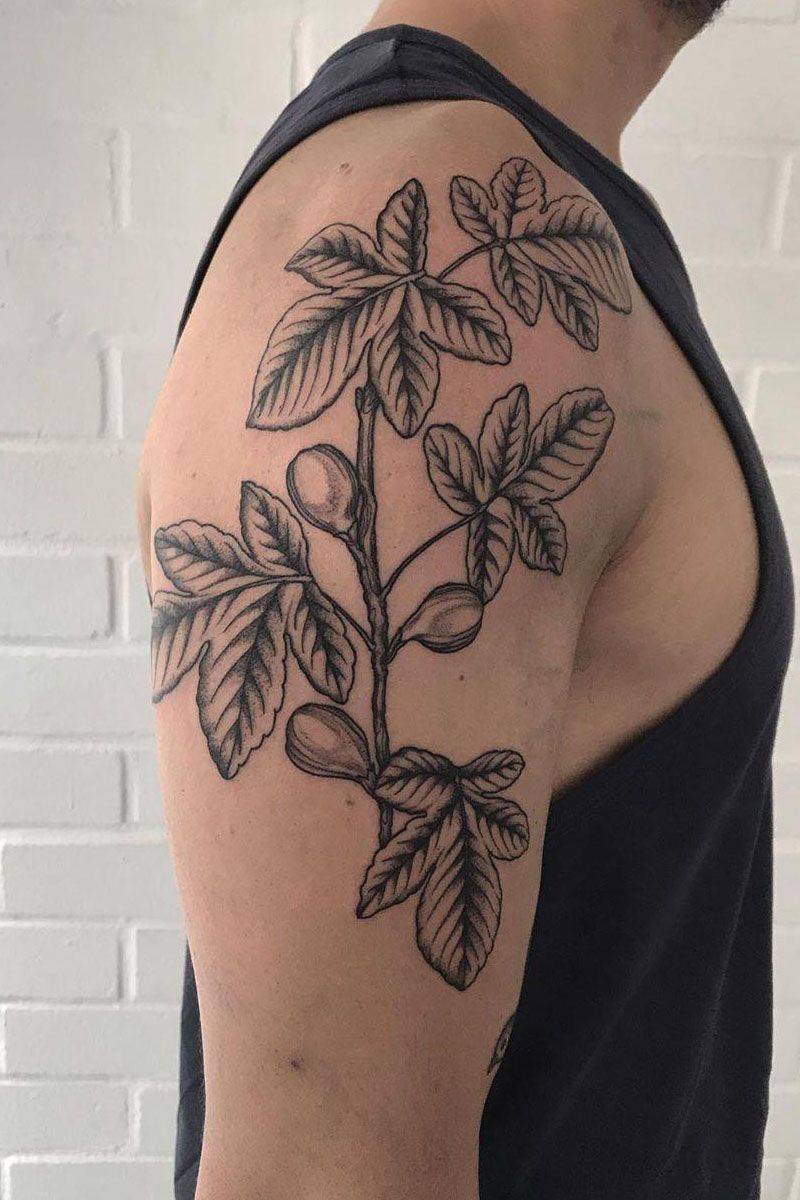 30 Pretty Fig Tattoos You Will Love