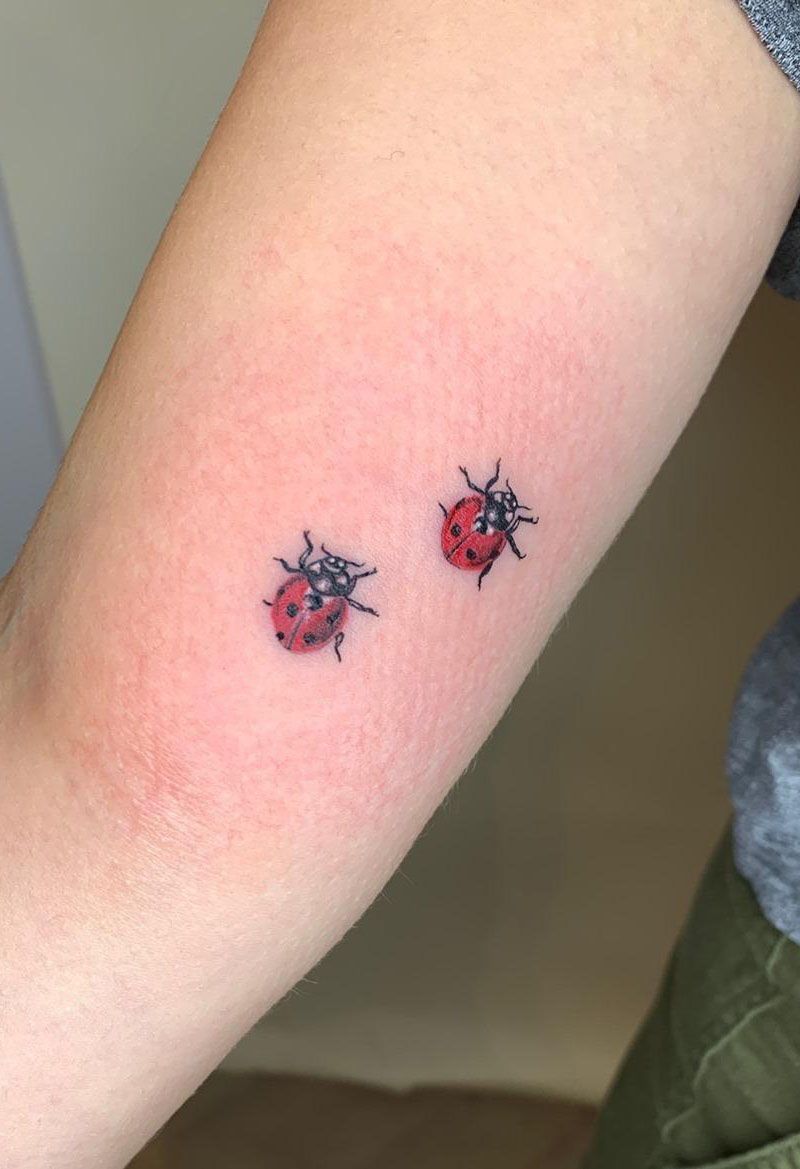 30 Pretty Ladybug Tattoos to Inspire You