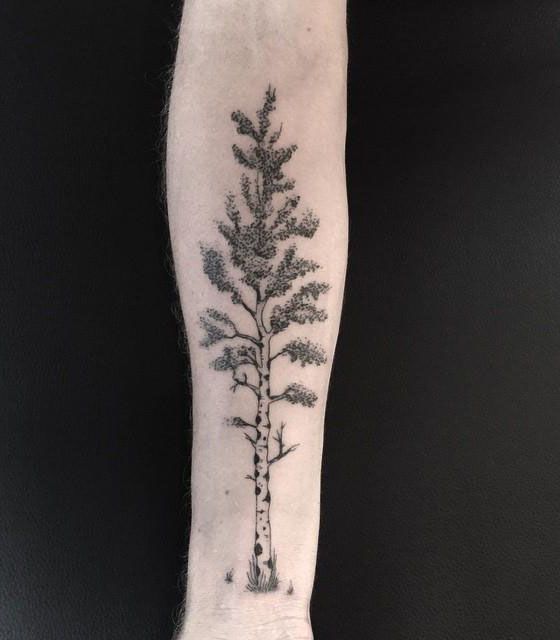 30 Pretty Aspen Tattoos for Inspiration