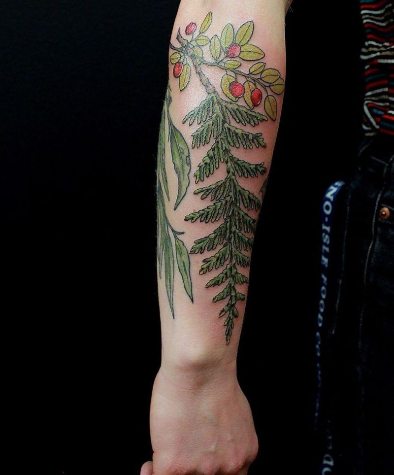 30 Pretty Cedar Tattoos You Will Love