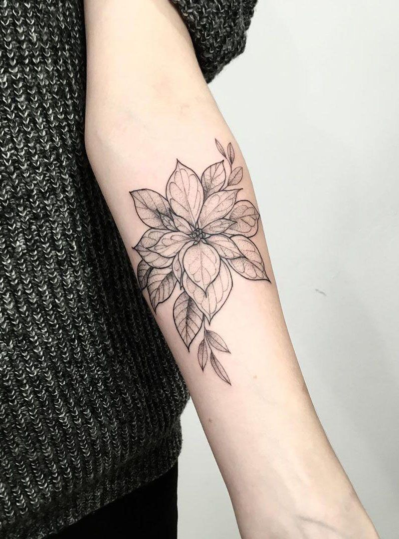 30 Pretty Poinsettia Tattoos You Must Try