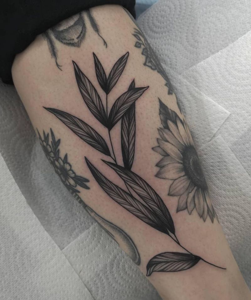 30 Pretty Willow Tattoos Enhance Your Personality