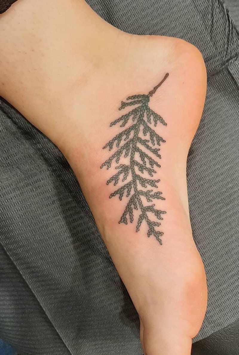 30 Pretty Cedar Tattoos You Will Love