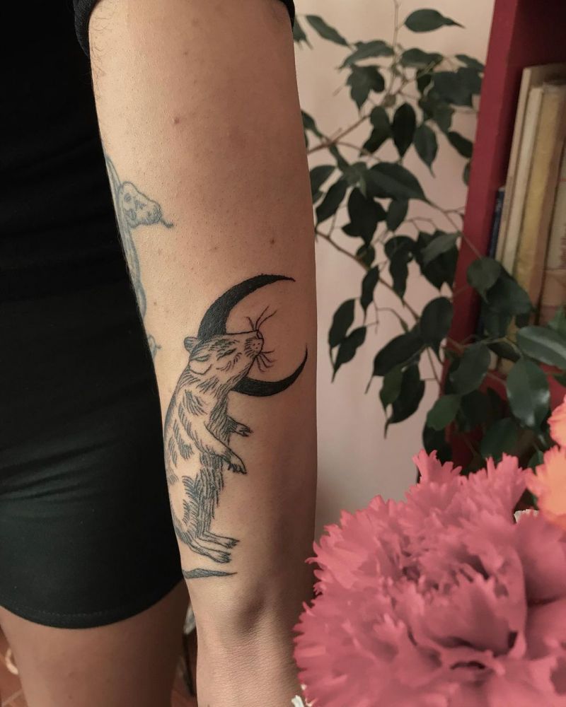 30 Pretty Rat Tattoos You Will Love