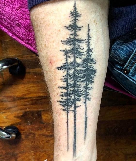 30 Pretty Fir Tree Tattoos You Will Love