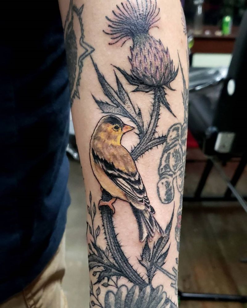 30 Pretty Goldfinch Tattoos to Inspire You