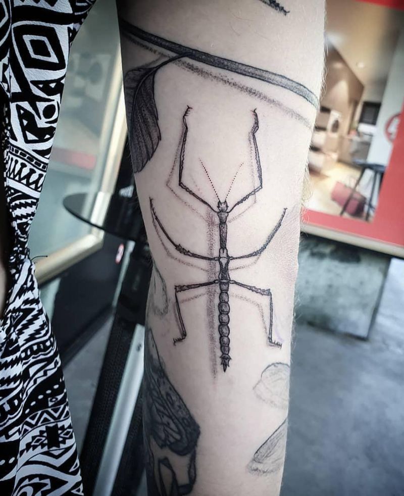 30 Pretty Insect Tattoos That Make You More Attractive