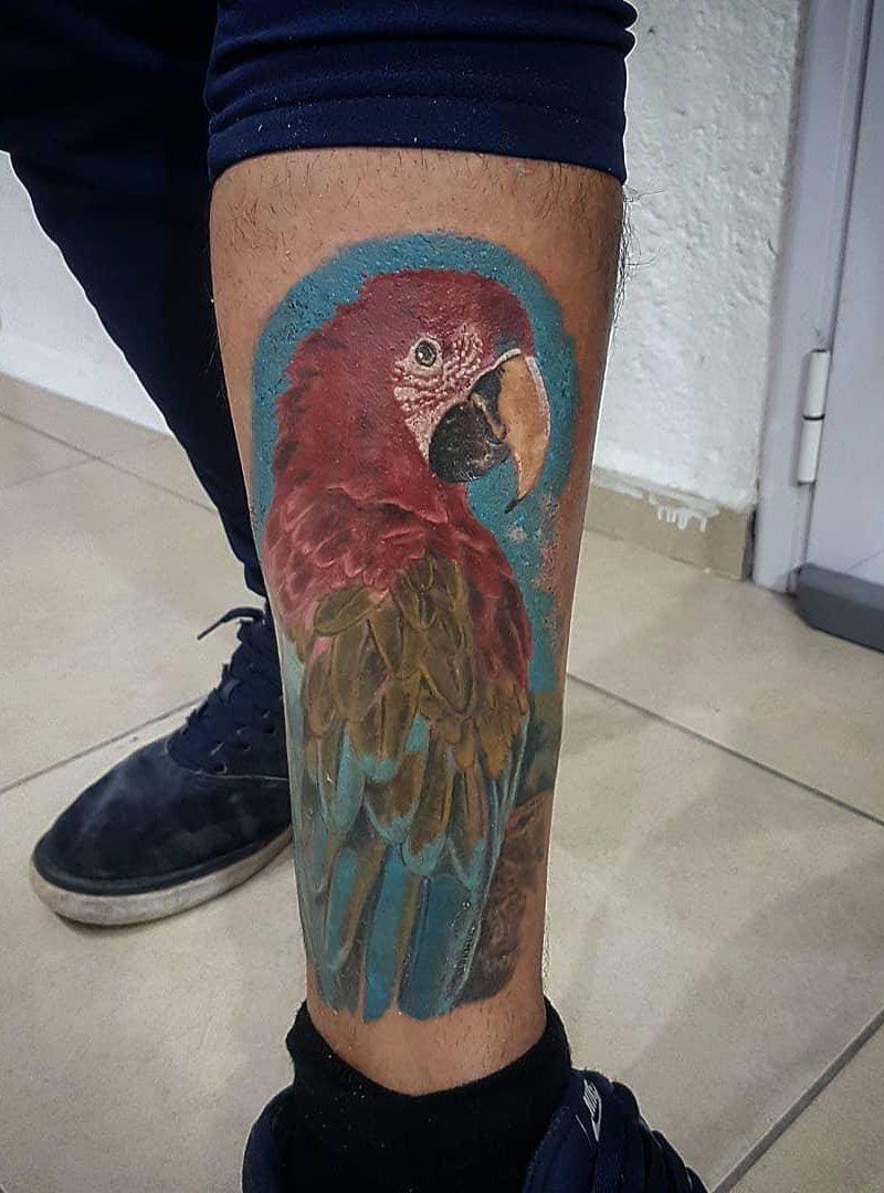 30 Pretty Macaw Tattoos Bring You Happiness