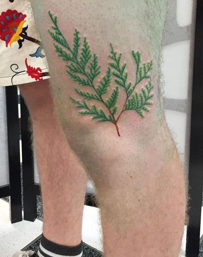 30 Pretty Cedar Tattoos You Will Love