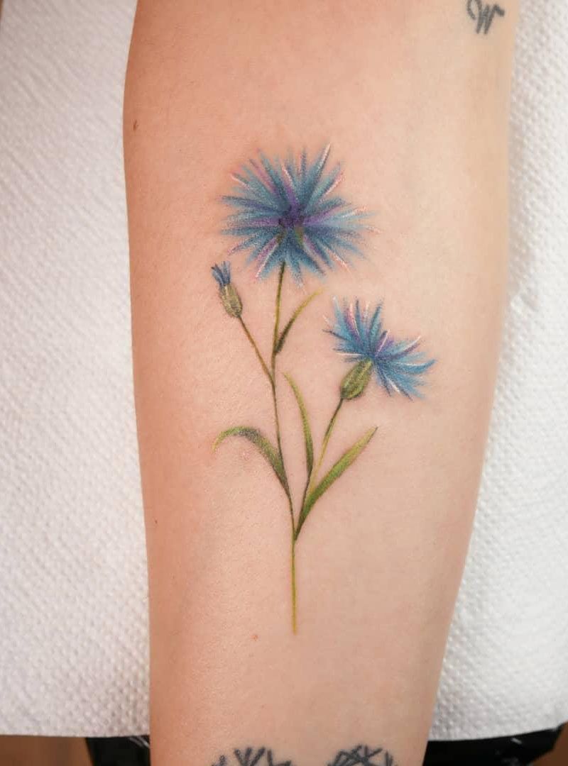 30 Pretty Cornflower Tattoos to Inspire You