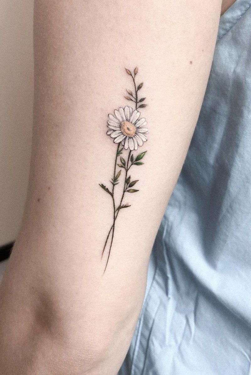 30 Pretty Chamomile Tattoos You Shouldn't Miss