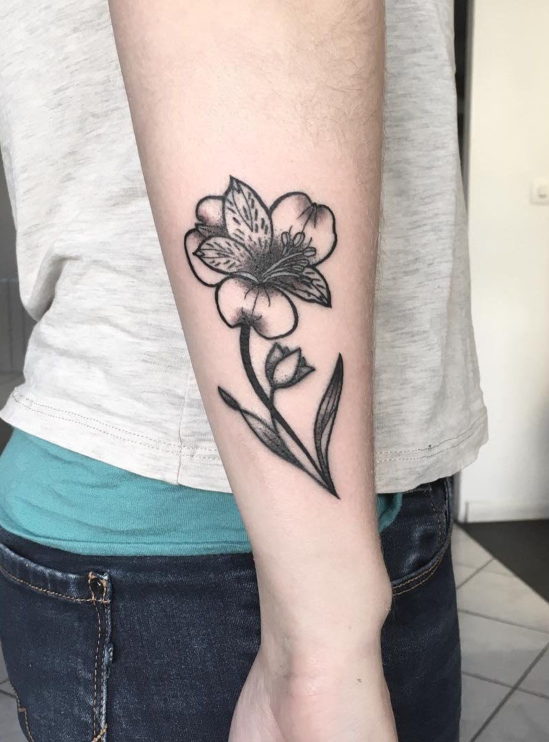 30 Pretty Alstroemeria Tattoos Show Your Temperament