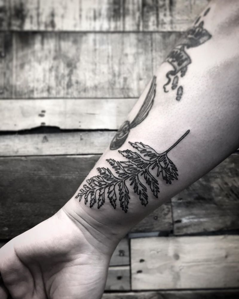 30 Pretty Cedar Tattoos You Will Love