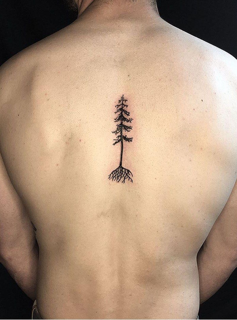 30 Pretty Fir Tree Tattoos You Will Love