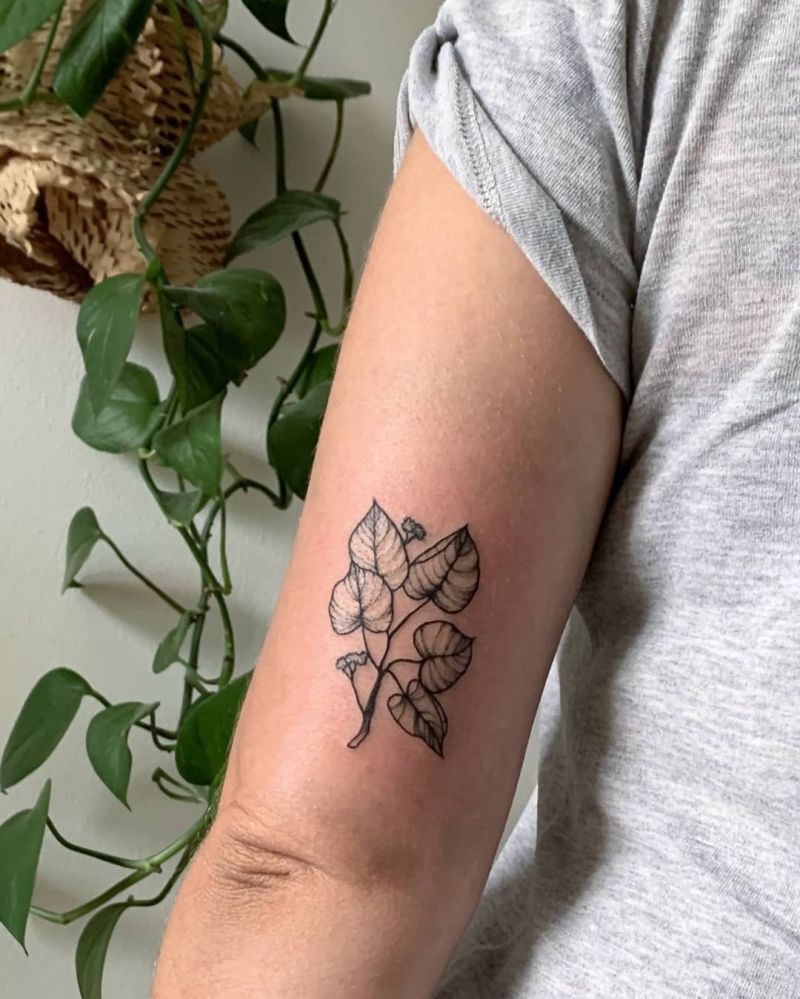 30 Pretty Aspen Tattoos for Inspiration