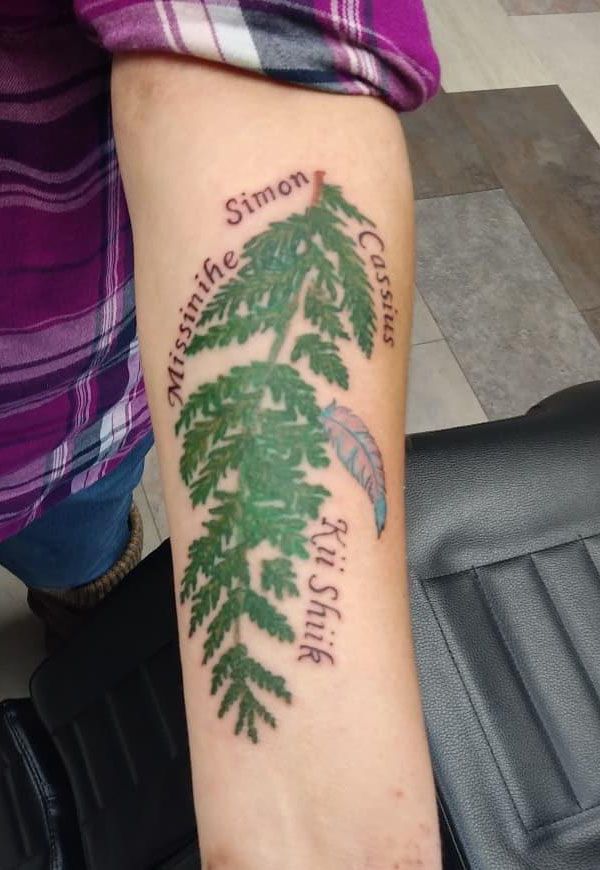 30 Pretty Cedar Tattoos You Will Love