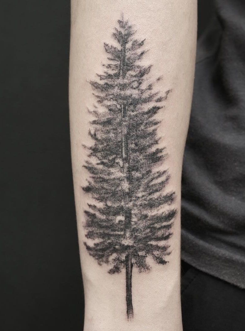 30 Pretty Fir Tree Tattoos You Will Love