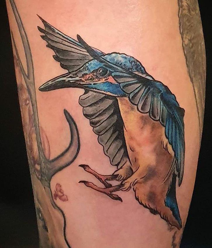 30 Pretty Kingfisher Tattoos You Must Try