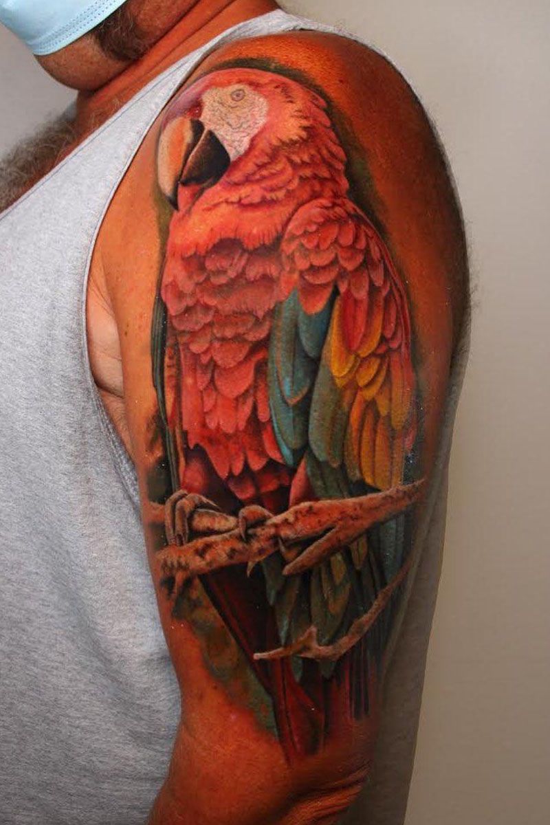 30 Pretty Macaw Tattoos Bring You Happiness