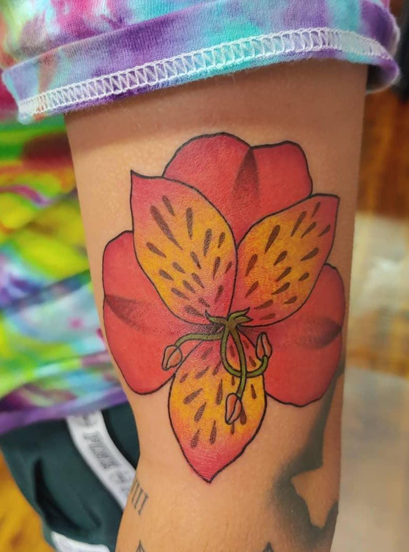 30 Pretty Alstroemeria Tattoos Show Your Temperament