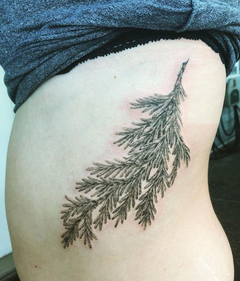 30 Pretty Cedar Tattoos You Will Love