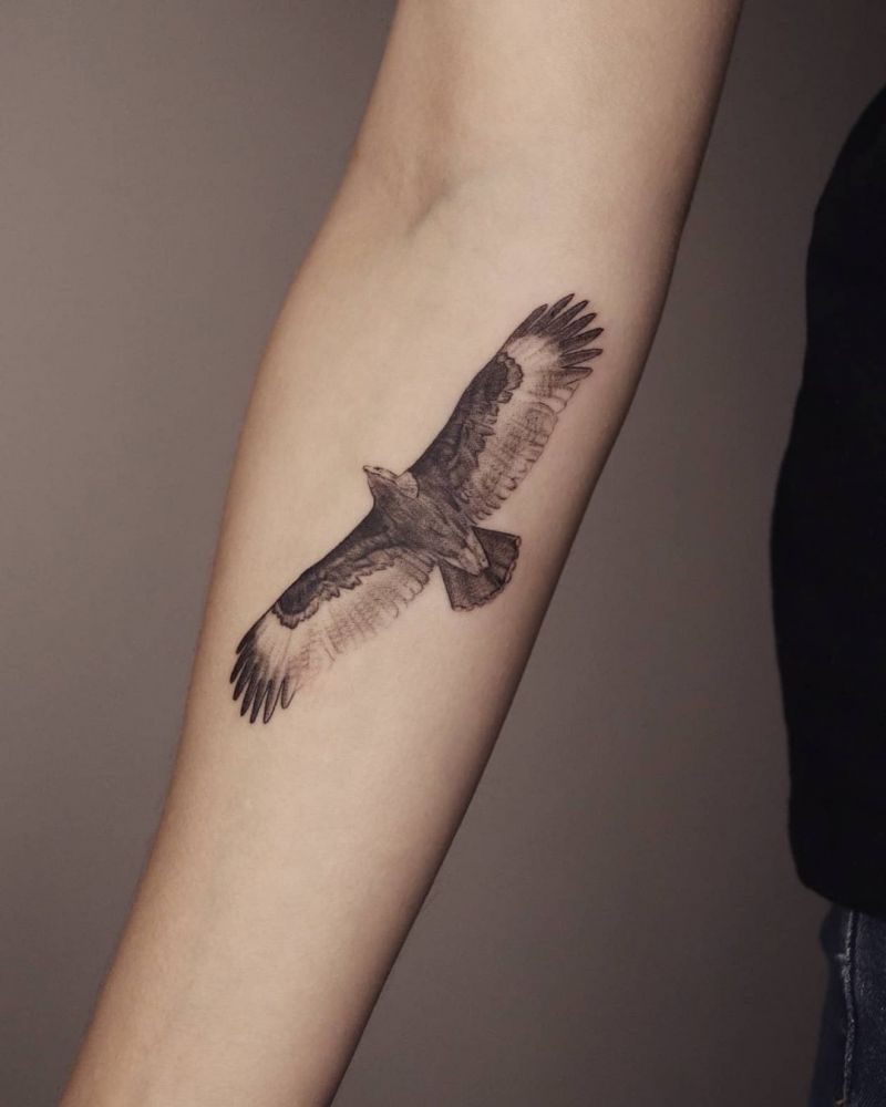 30 Pretty Falcon Tattoos Make You Elegant