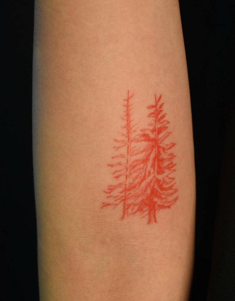 30 Pretty Fir Tree Tattoos You Will Love