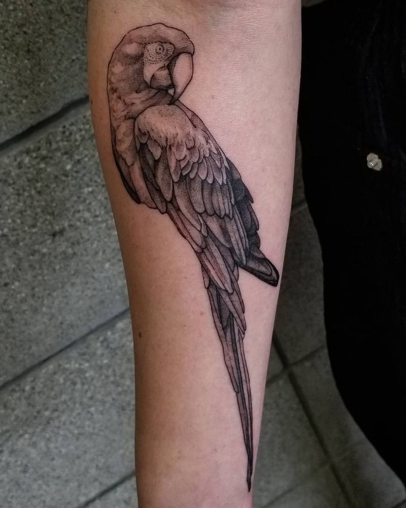 30 Pretty Macaw Tattoos Bring You Happiness