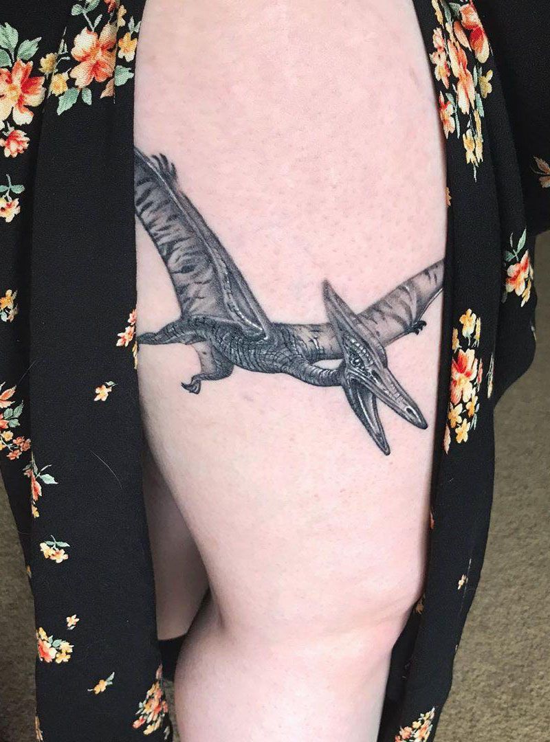 30 Pretty Pterodactyl Tattoos You Will Love