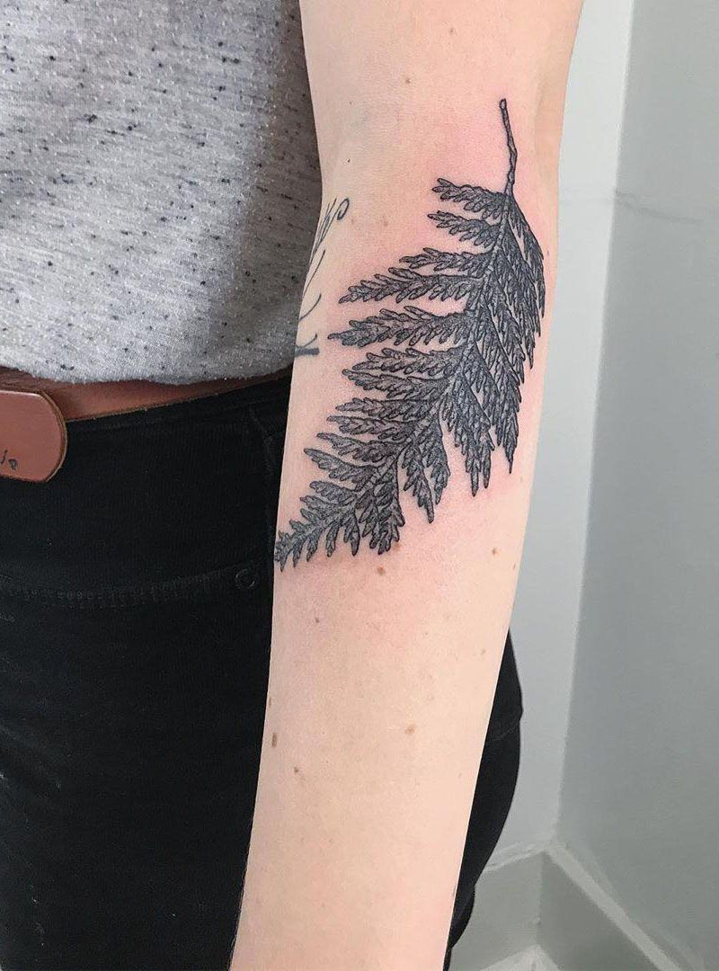 30 Pretty Cedar Tattoos You Will Love