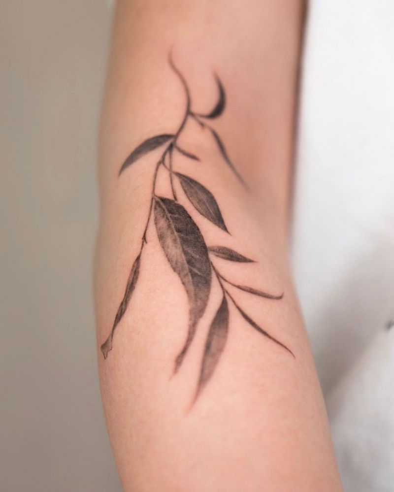 30 Pretty Willow Tattoos Enhance Your Personality