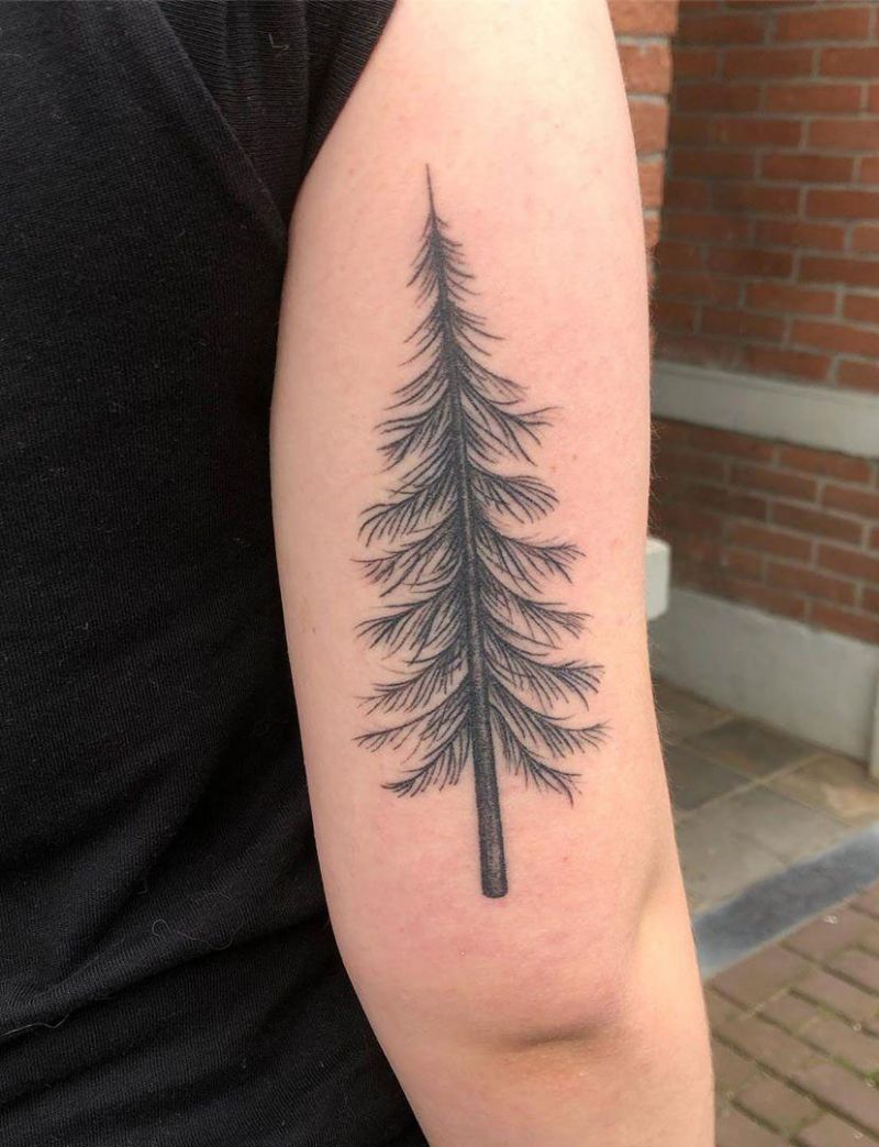 30 Pretty Fir Tree Tattoos You Will Love