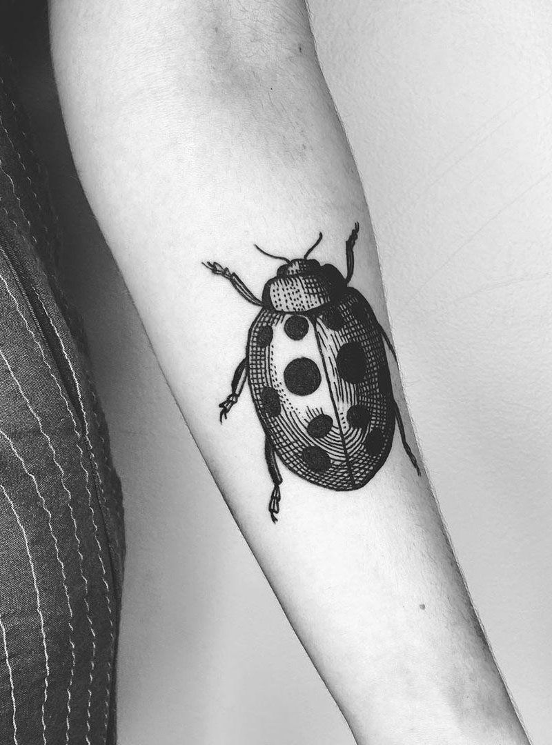 30 Pretty Ladybug Tattoos to Inspire You