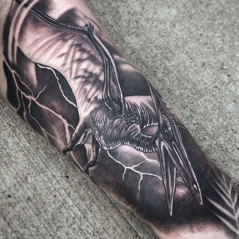 30 Pretty Pterodactyl Tattoos You Will Love