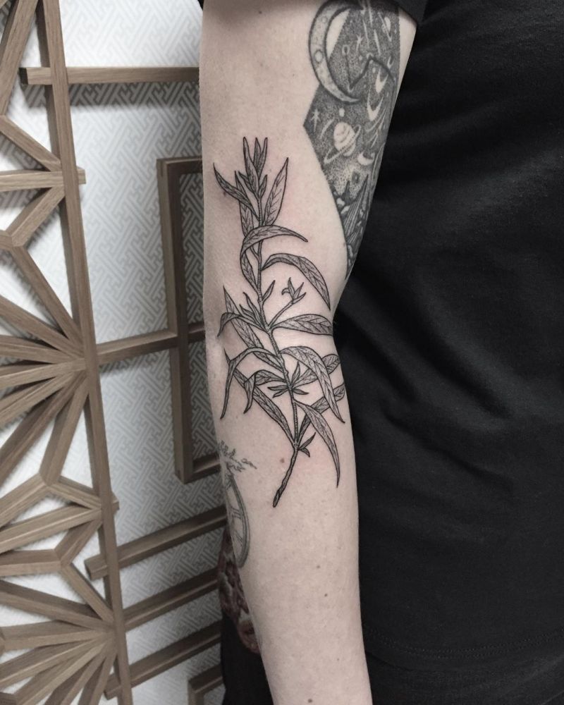 30 Pretty Willow Tattoos Enhance Your Personality