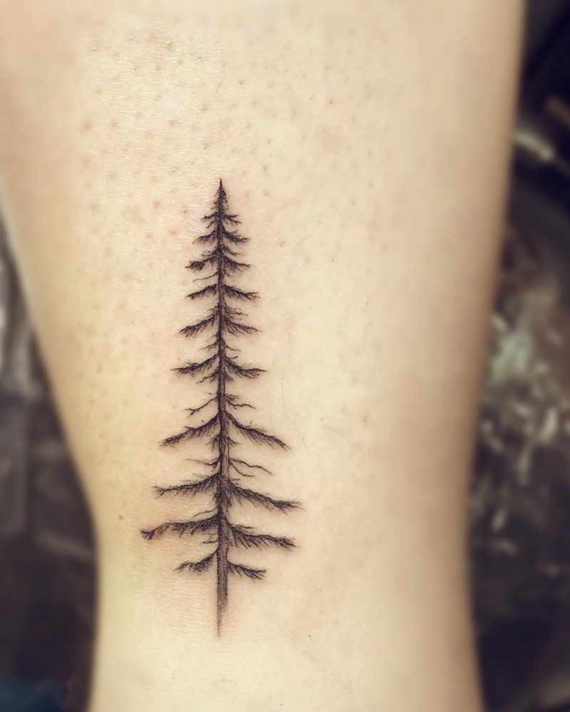 30 Pretty Fir Tree Tattoos You Will Love