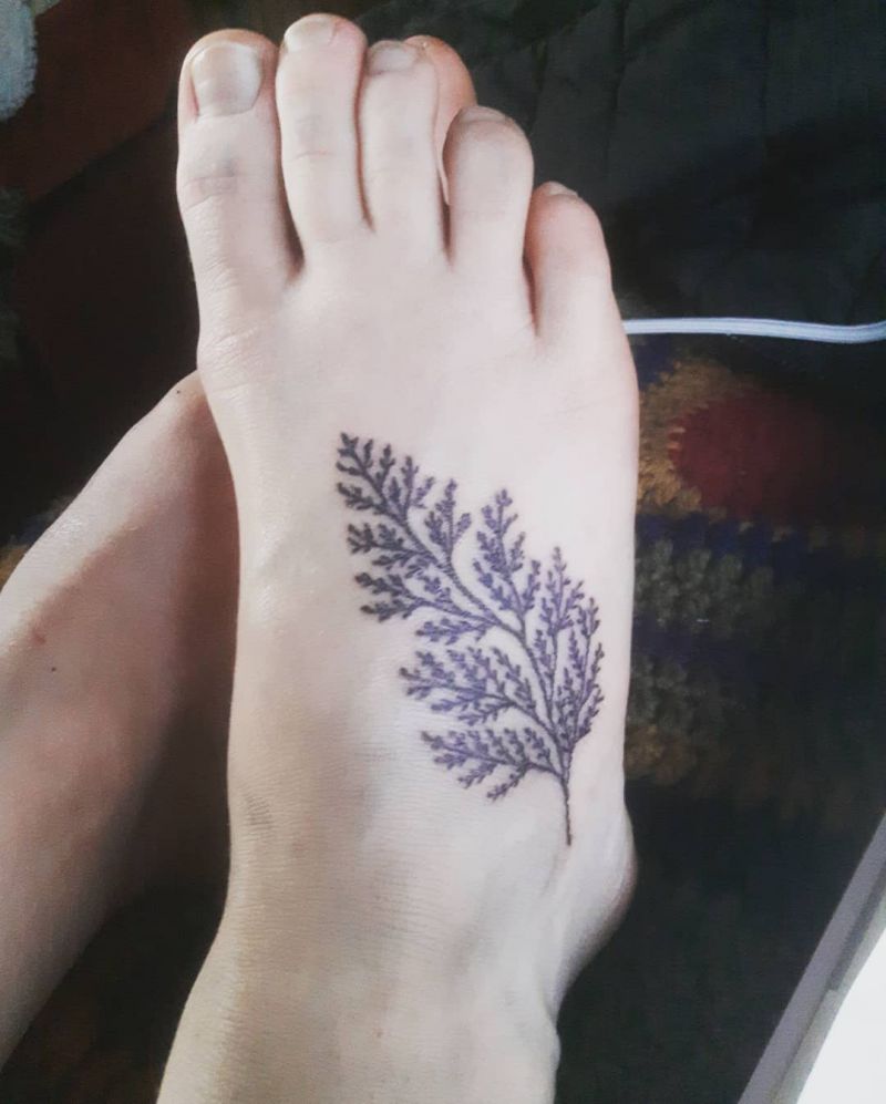 30 Pretty Cedar Tattoos You Will Love