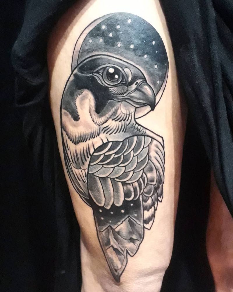 30 Pretty Falcon Tattoos Make You Elegant