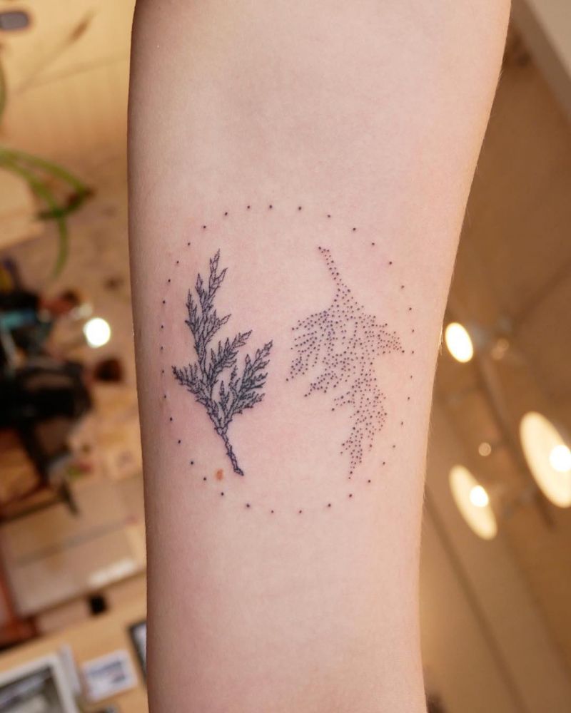 30 Pretty Cedar Tattoos You Will Love