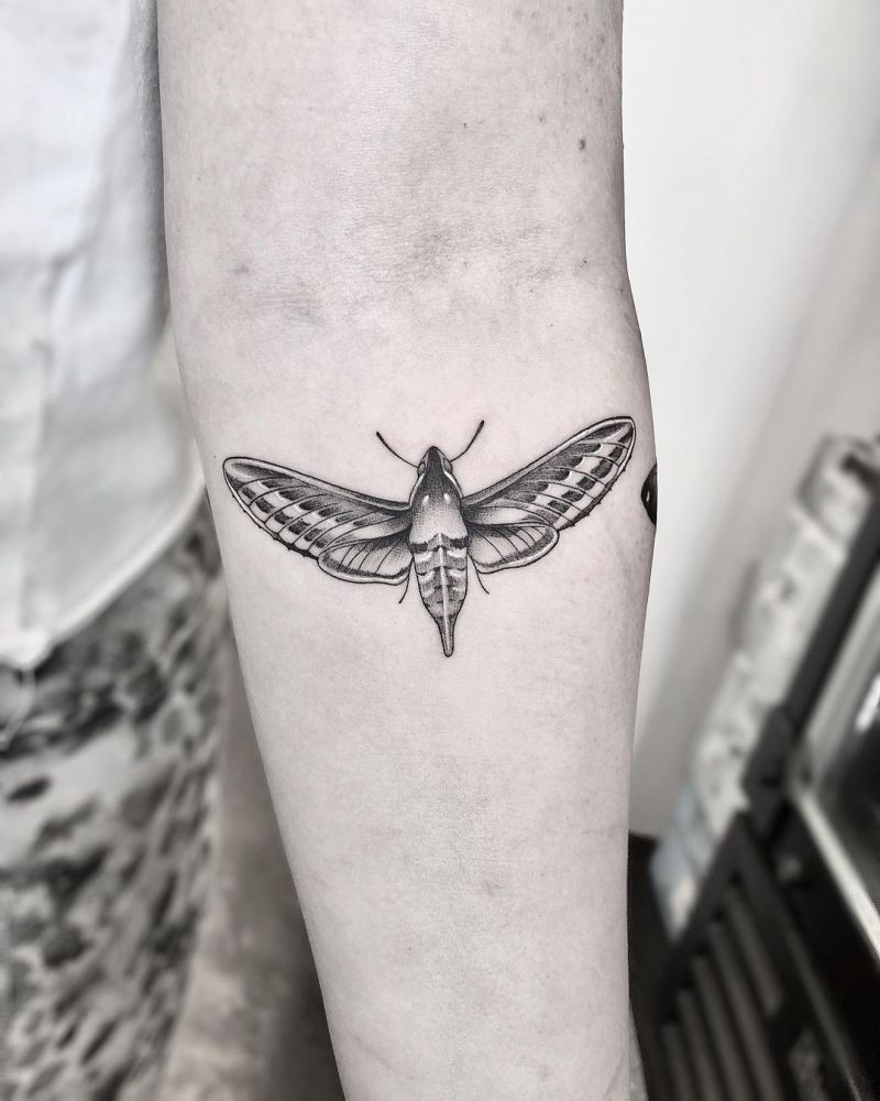 30 Pretty Insect Tattoos That Make You More Attractive