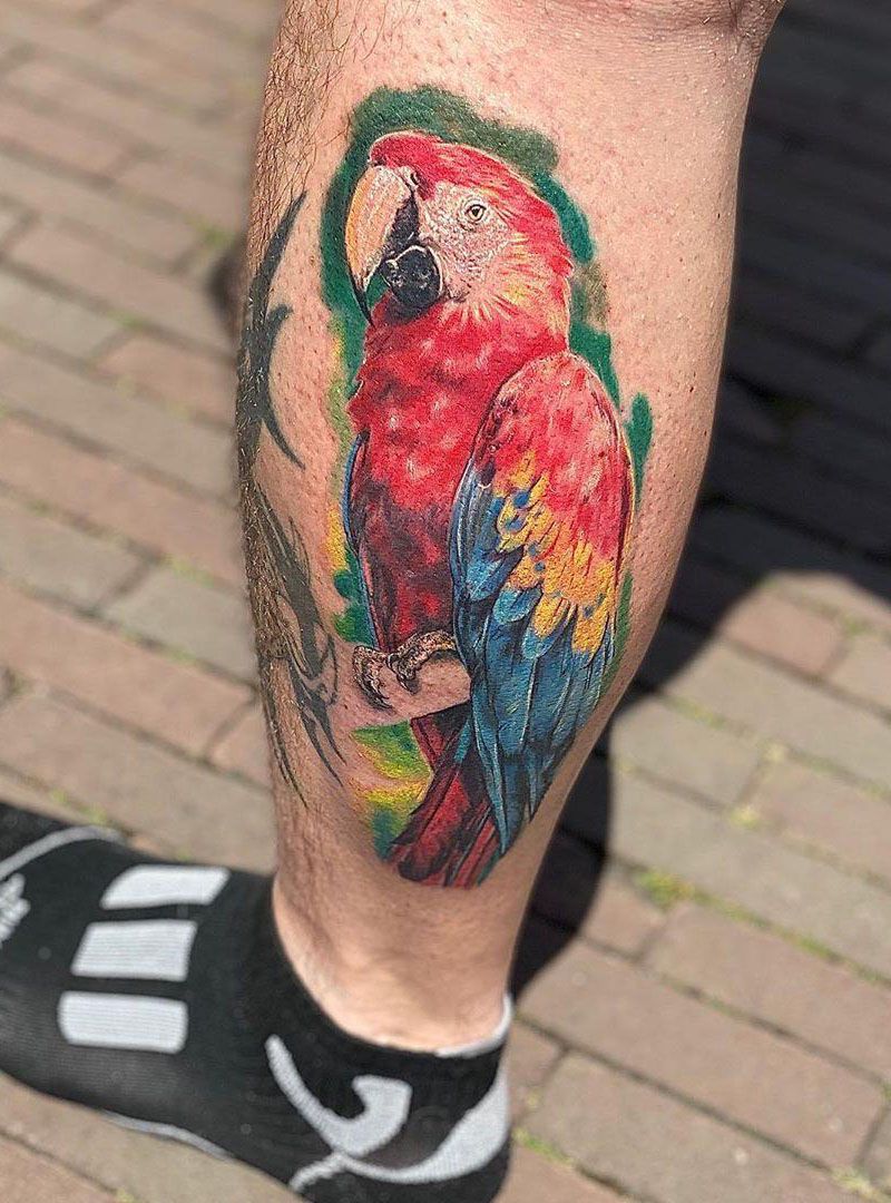 30 Pretty Macaw Tattoos Bring You Happiness