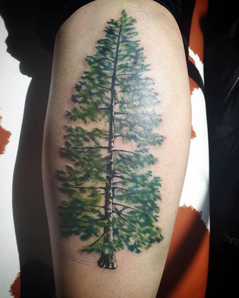 30 Pretty Cedar Tattoos You Will Love