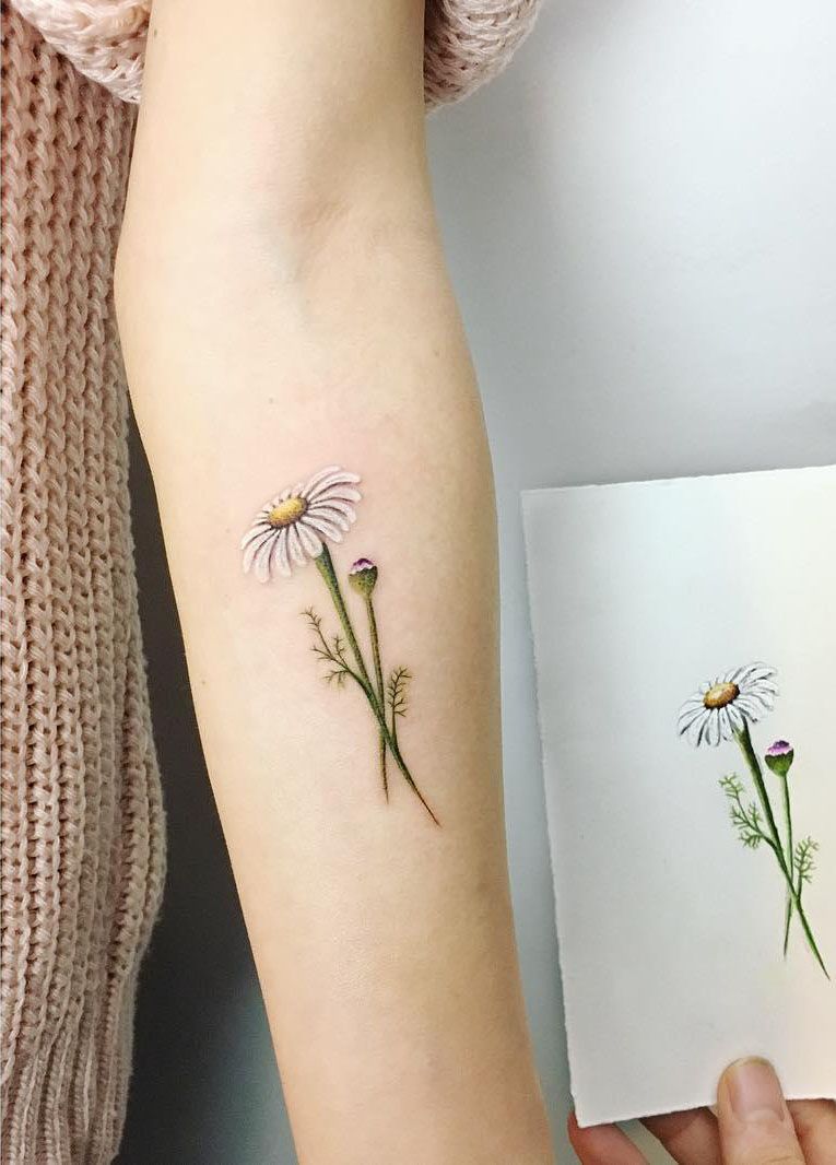 30 Pretty Chamomile Tattoos You Shouldn't Miss