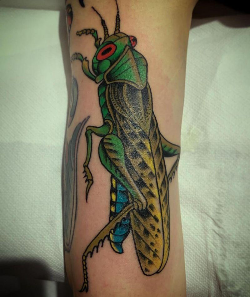 30 Pretty Grasshopper Tattoos You Must Try