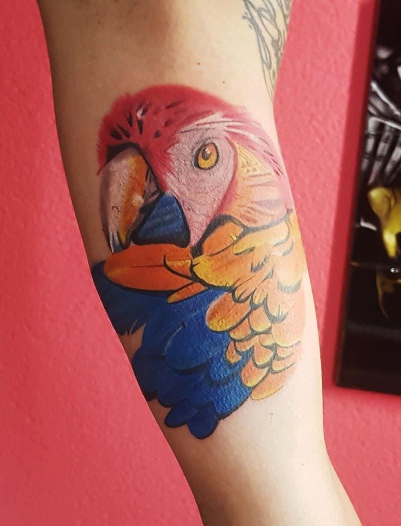 30 Pretty Macaw Tattoos Bring You Happiness